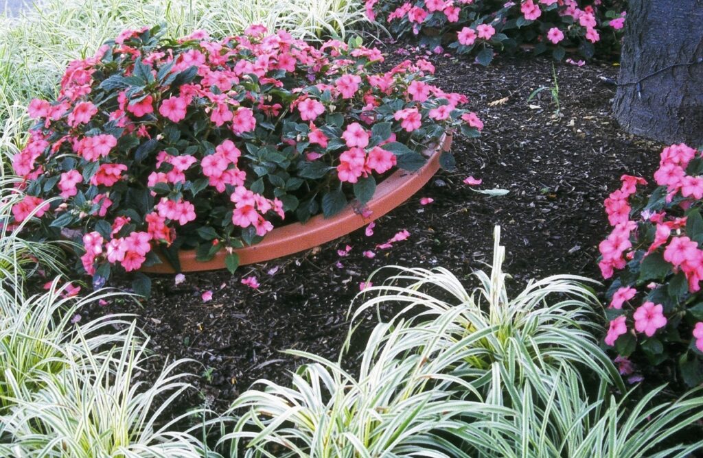 Why You Should Try DIY Container In-Ground Pot Planting