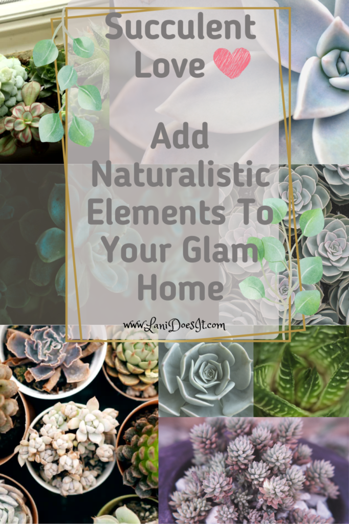 How Succulents Can Add Naturalistic Elements To Your Glam Home