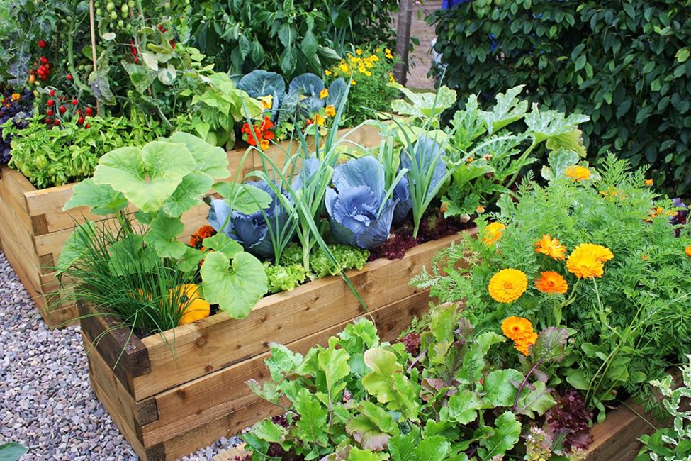 How To Grow Your Own Food All Year Long