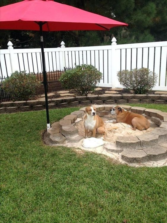 33 Coolest Backyard Ideas To Start Planning Now - With Pets