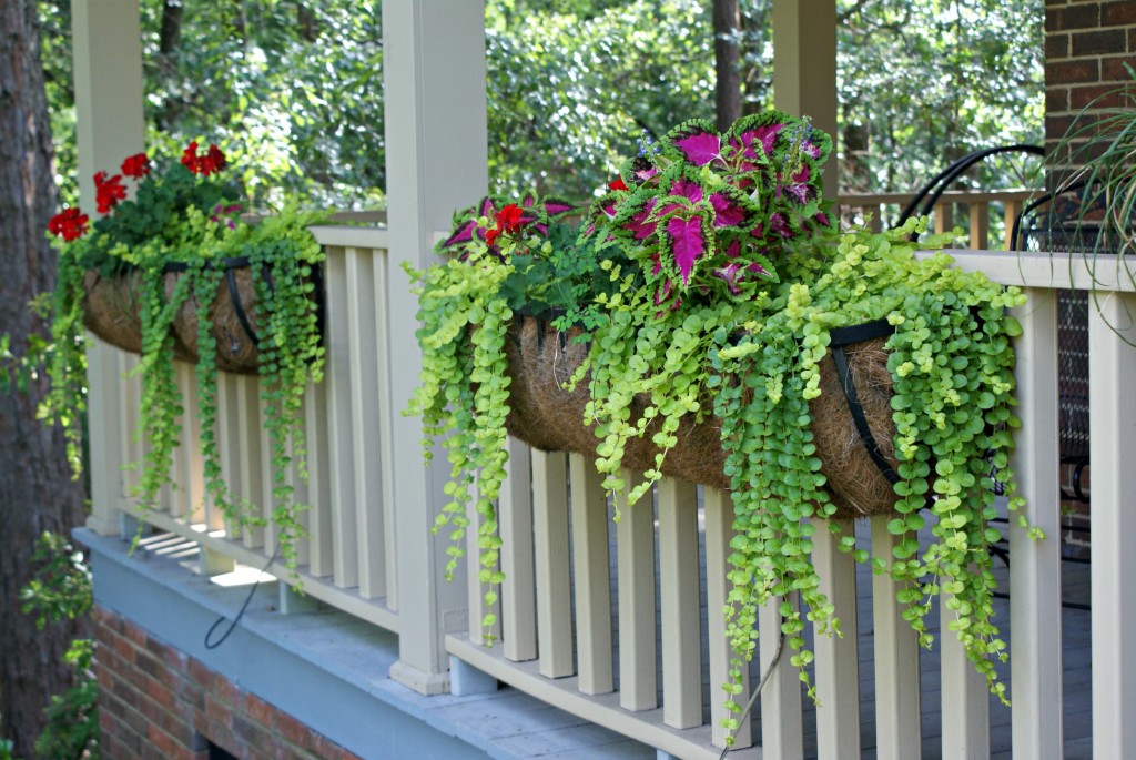 Beautiful Flower Pot Decor Ideas For Your Porch or Deck
