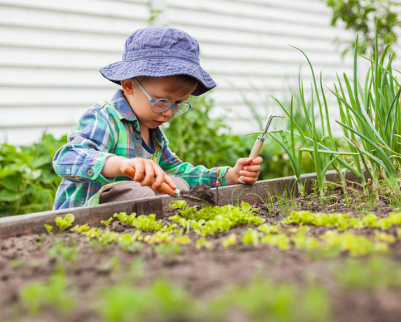 The Thrifty Gardener's Guide To Starting Your First Vegetable Garden