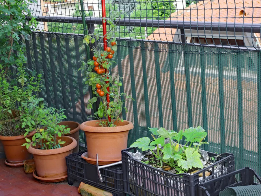 The Thrifty Gardener's Guide To Starting Your First Vegetable Garden