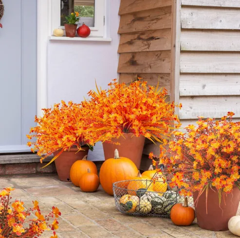 Easy Tips to Make Your Home Look Fancy this Fall Without Spending Much