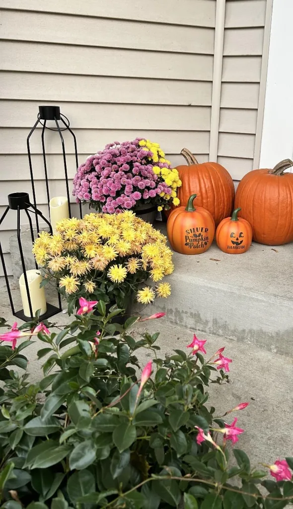 Affordable Fall Porch Decor Ideas That Make a Big Impact - Lani Does It