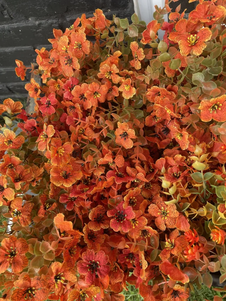 Affordable Fall Porch Decor Ideas That Make a Big Impact