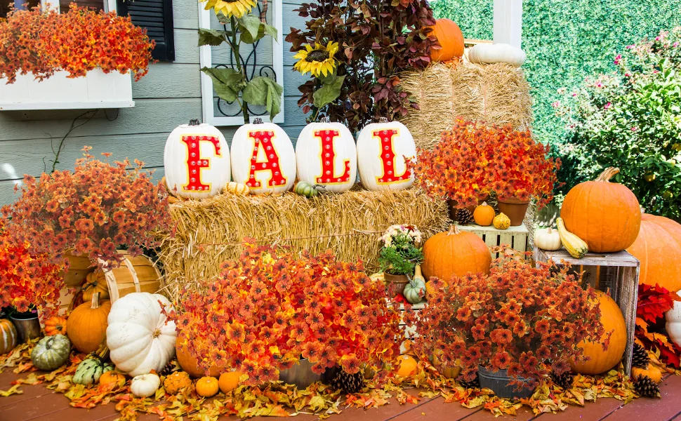 Affordable Fall Porch Decor Ideas That Make a Big Impact