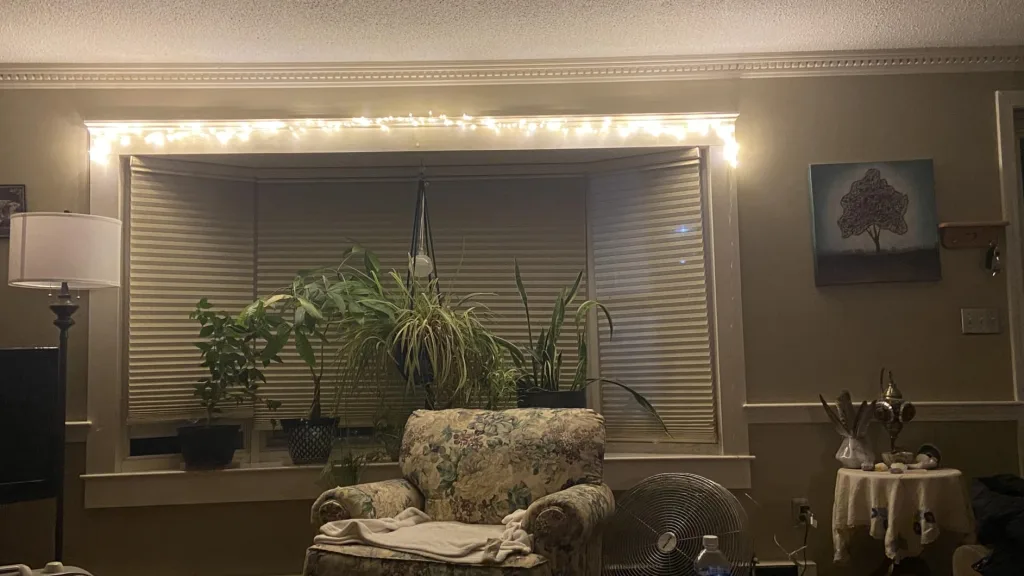 Lazy Girl’s Guide to a Beautiful Christmas Home