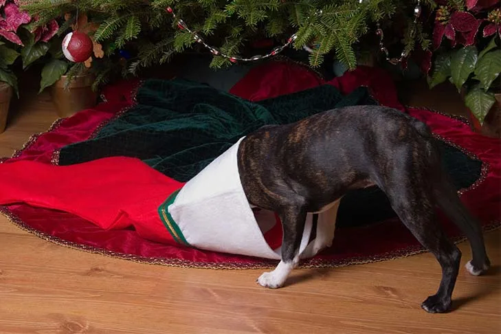 Easy Ways to Make Christmas Decor Safe for Kids and Pets