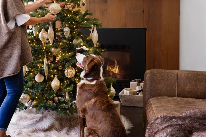 Easy Ways to Make Christmas Decor Safe for Kids and Pets