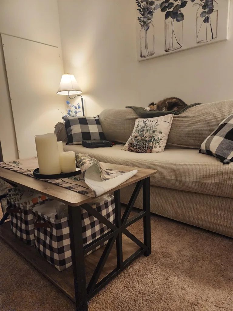 Storage Ideas to Refresh Your Home This New Year