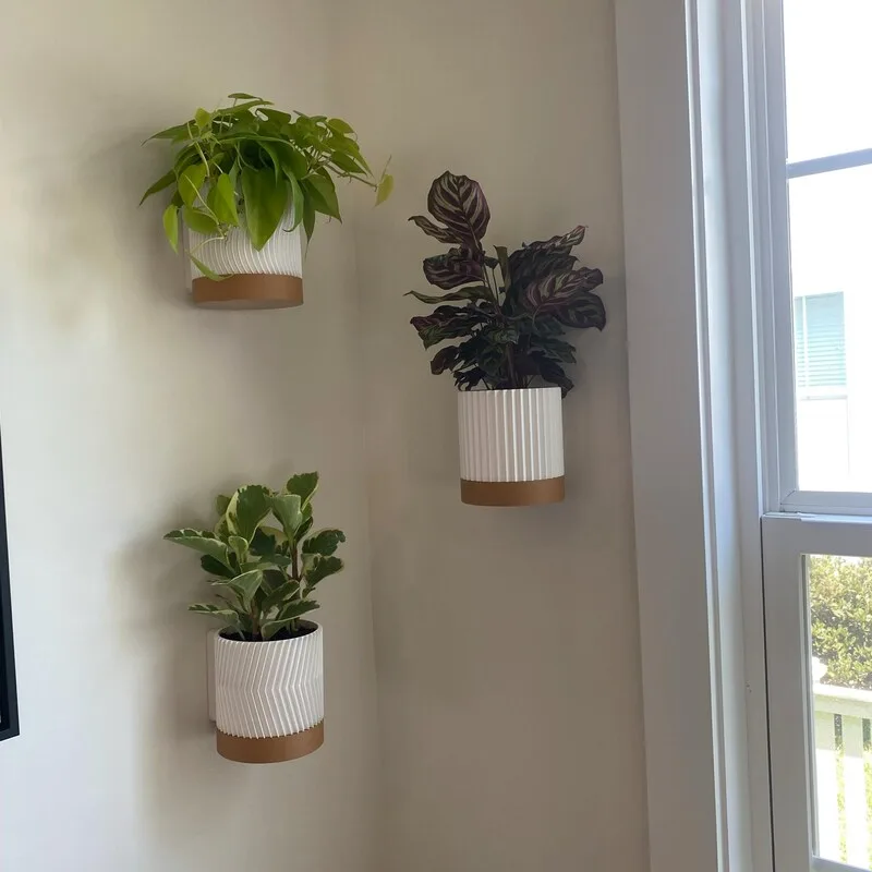 How to Find the Perfect Indoor Plant for Your Home