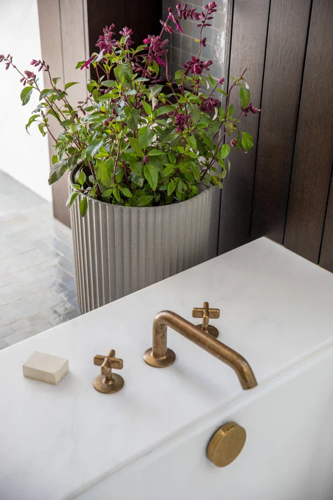 How to Find the Perfect Indoor Plant for Your Home