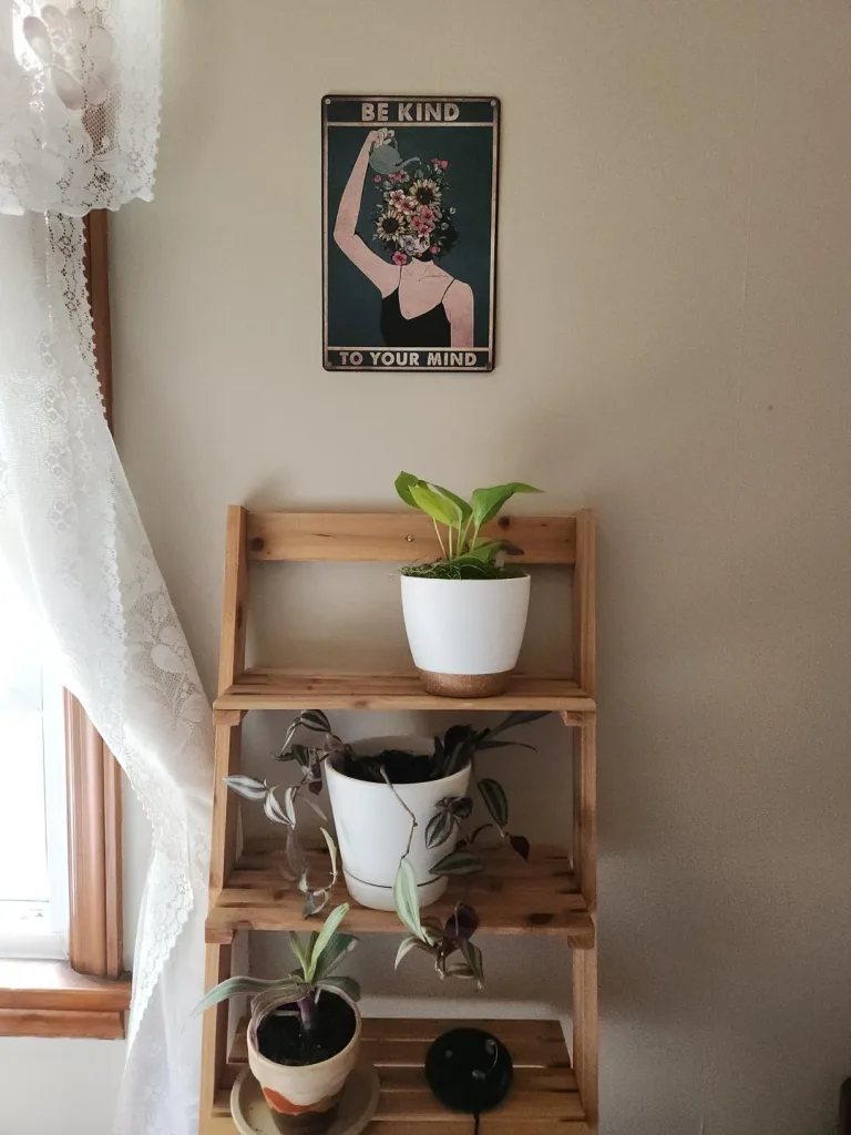 10 Easy Budget Decor Tips for Your Whole Home