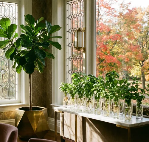 Plant Propagation Made Easy for Beginners