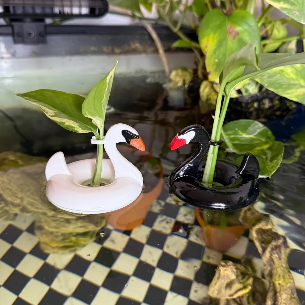 Plant Propagation Made Easy for Beginners