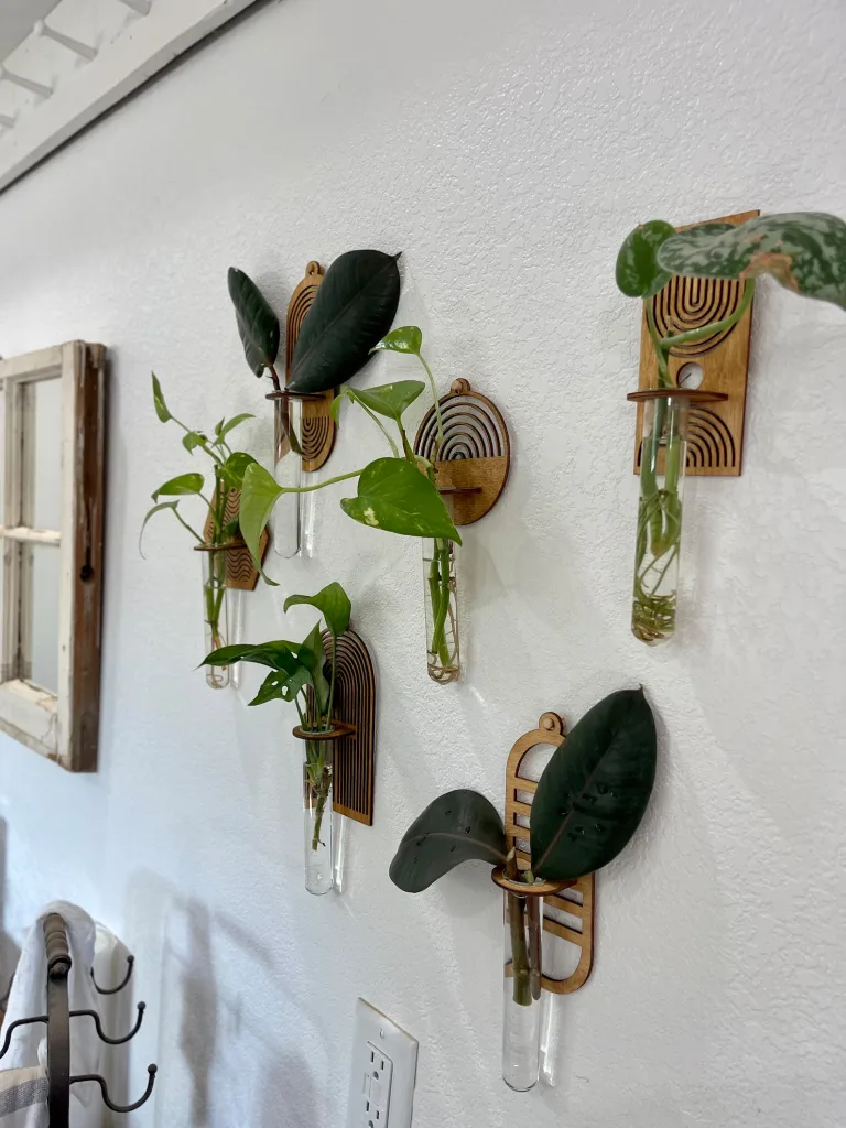 Plant Propagation Made Easy for Beginners