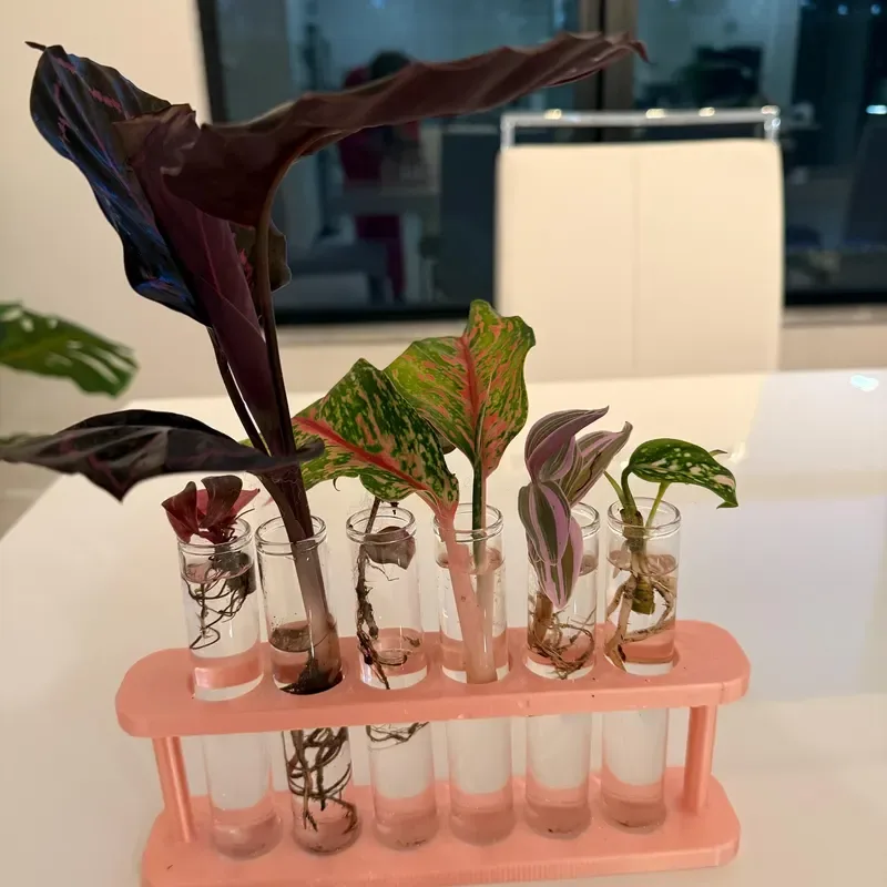 Plant Propagation Made Easy for Beginners