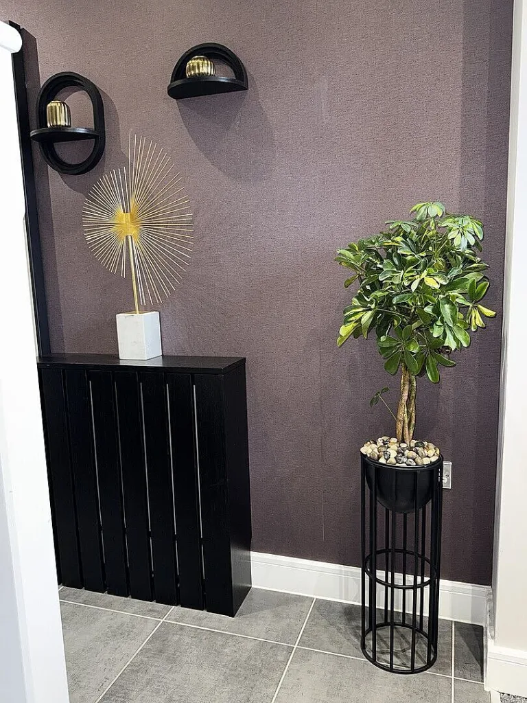 Plant Propagation Made Easy for Beginners