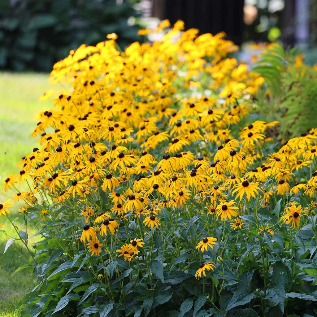 10 Best Wildflowers For Beautiful Centerpieces For Any Occasions