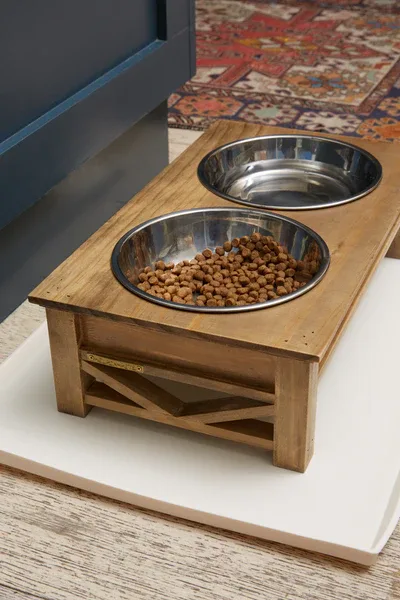 The Ultimate Guide to Dog-Friendly Home Decor