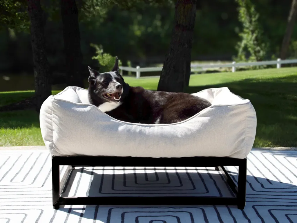 The Ultimate Guide to Dog-Friendly Home Decor