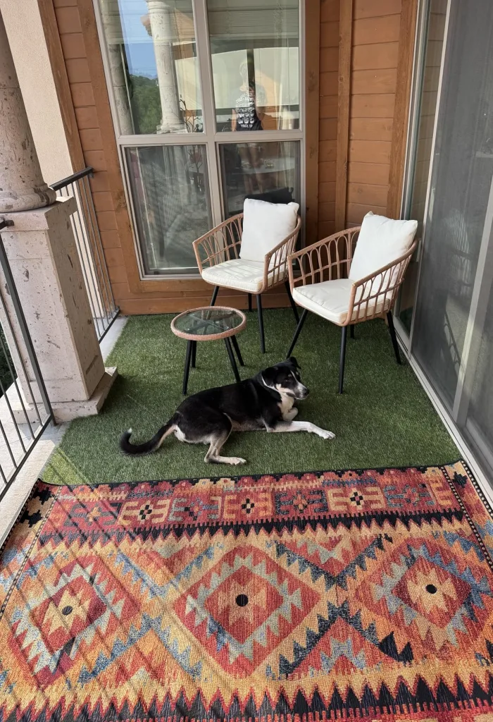 The Ultimate Guide to Dog-Friendly Home Decor