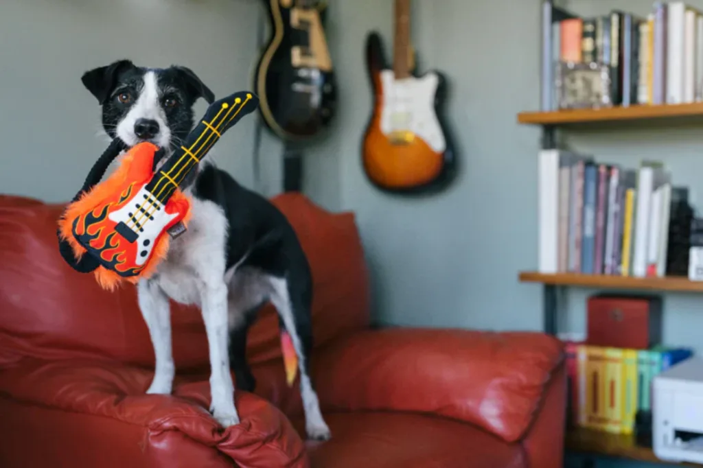 The Ultimate Guide to Dog-Friendly Home Decor