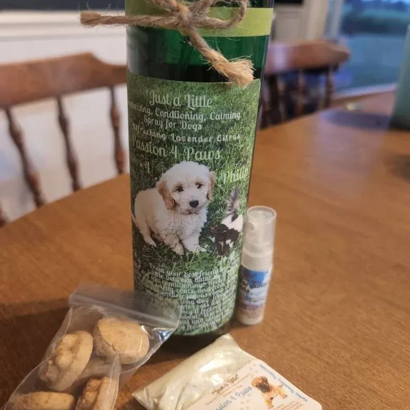 The Ultimate Guide to Dog-Friendly Home Decor