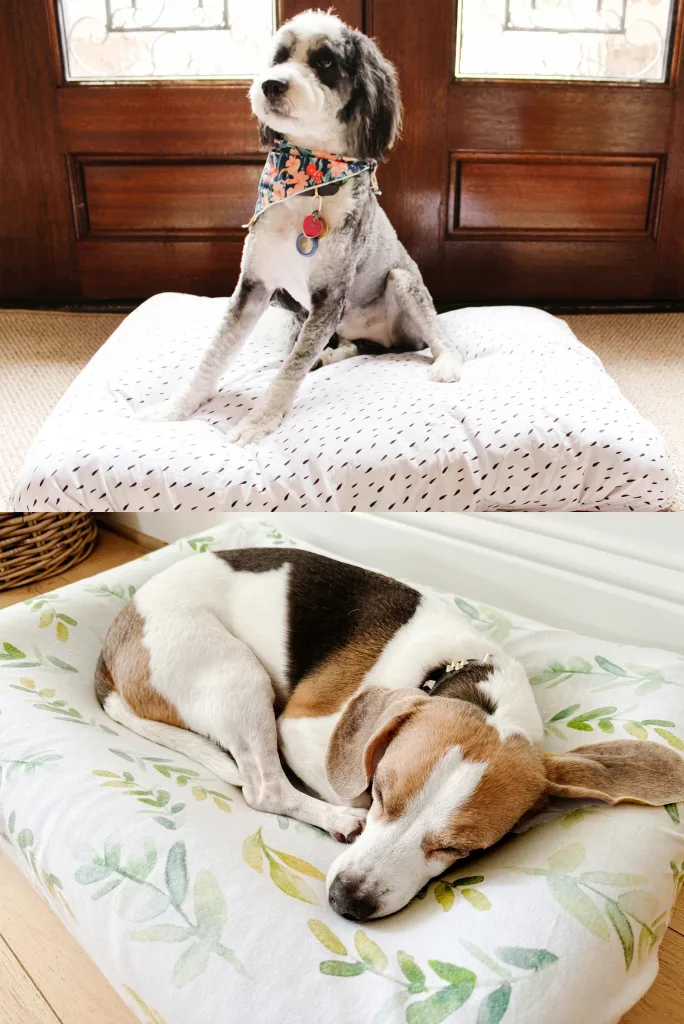 The Ultimate Guide to Dog-Friendly Home Decor