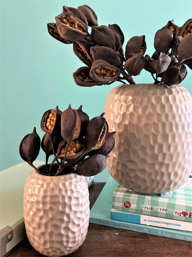 How to Easily Decorate with Driftwood, Pods & Pinecones