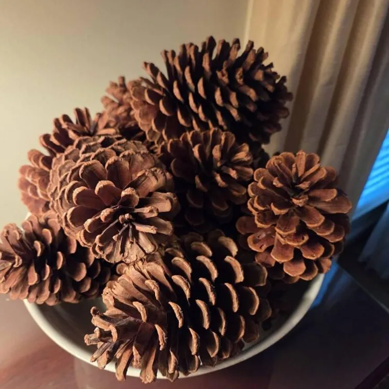 How to Easily Decorate with Driftwood, Pods & Pinecones