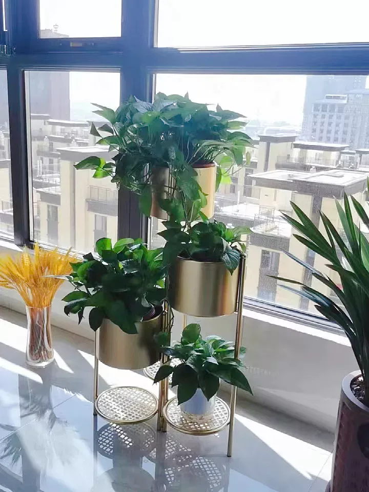 Plant Propagation Made Easy for Beginners