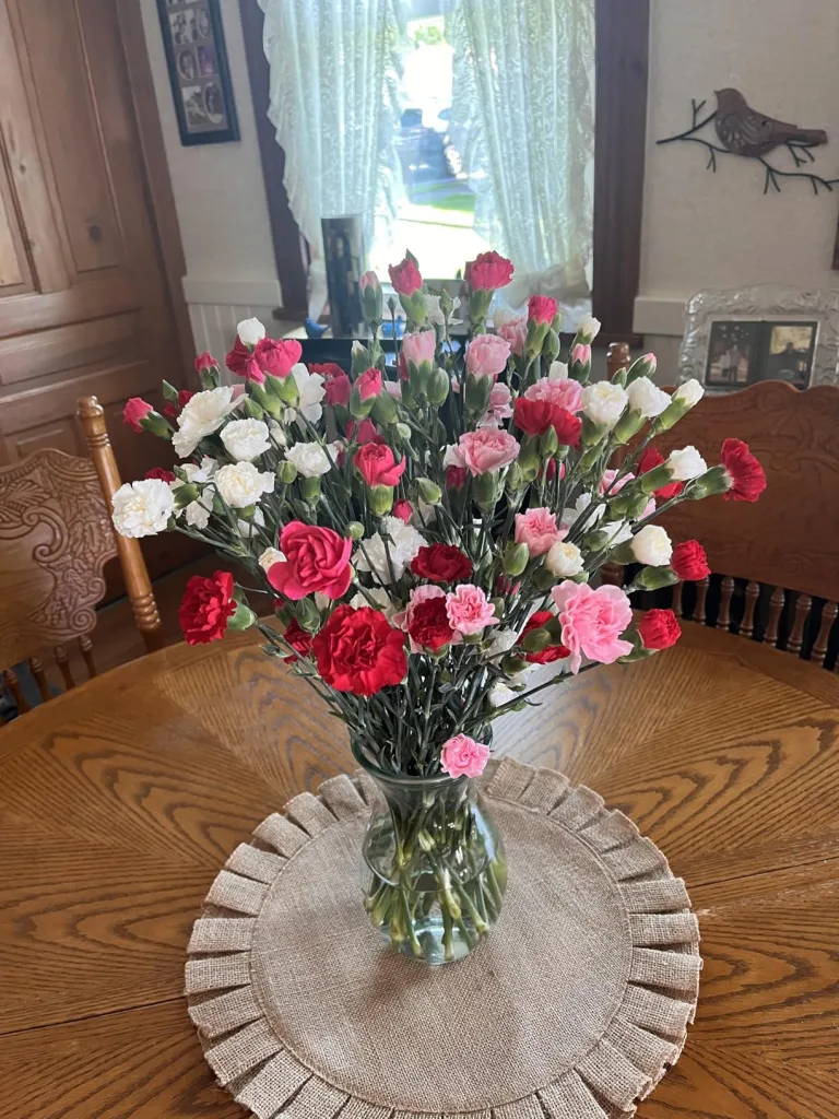 MERV 8, 6 Pack, For Home AC Furnace & HVAC