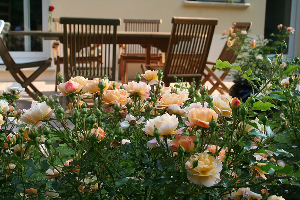 12 Beautiful Garden Trends 2026 You Need to Try