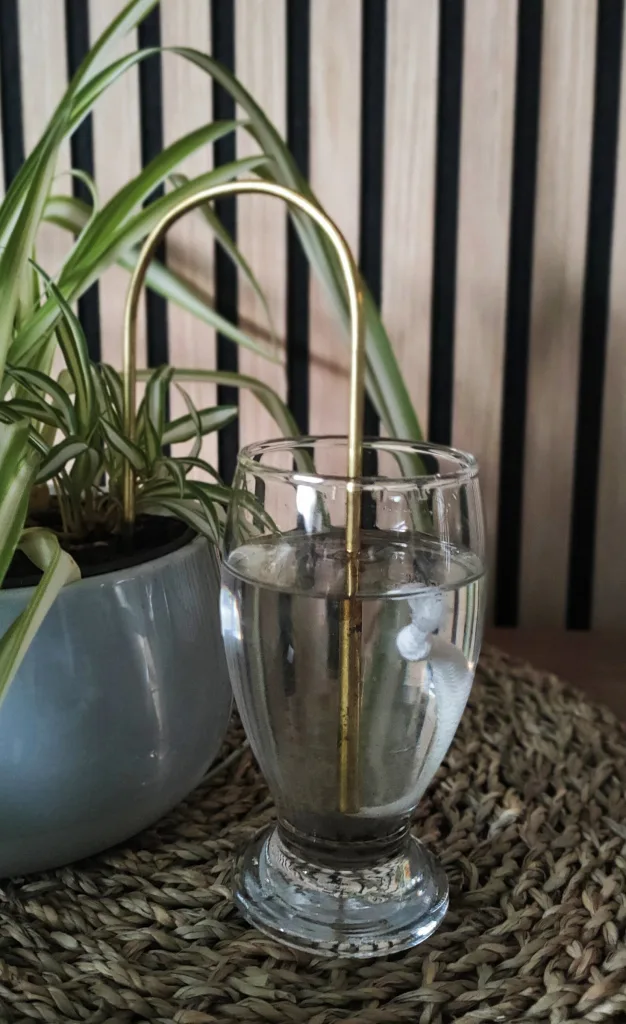 Easy Ways to Keep Your Indoor Plants Hydrated
