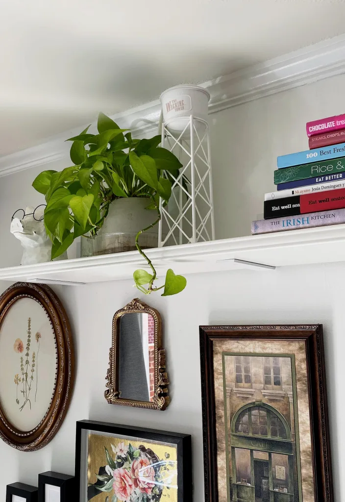 Easy Ways to Keep Your Indoor Plants Hydrated