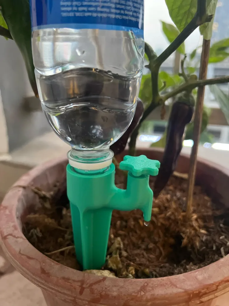 Easy Ways to Keep Your Indoor Plants Hydrated