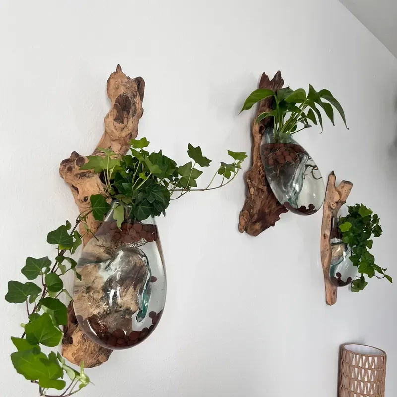 Easy Ways to Keep Your Indoor Plants Hydrated