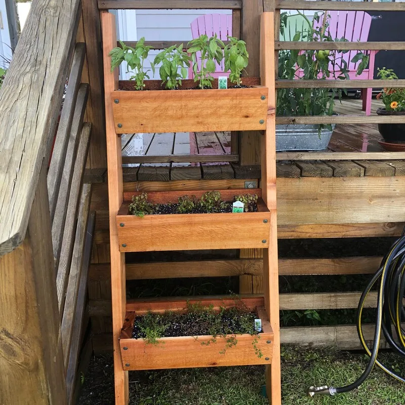 12 Beautiful Garden Trends 2026 You Need to Try