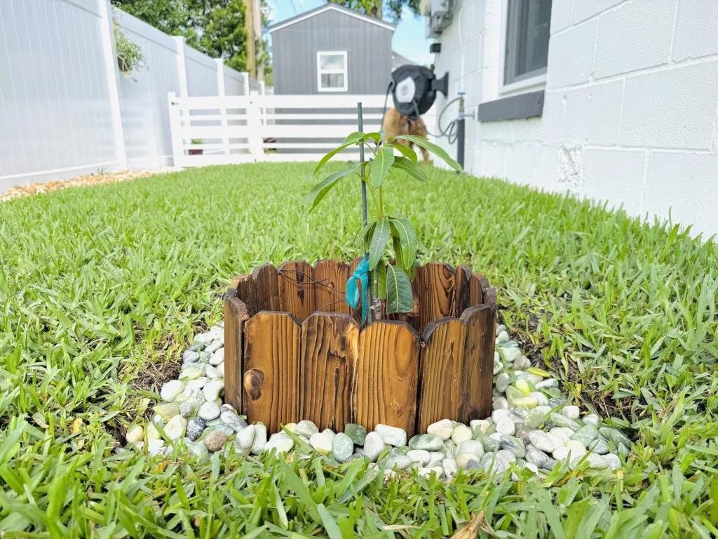 12 Beautiful Garden Trends 2026 You Need to Try