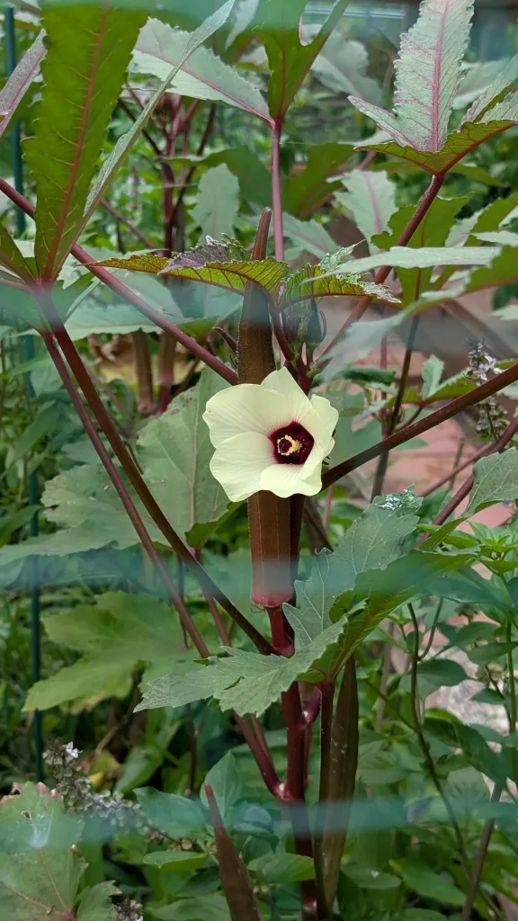 12 Beautiful Garden Trends 2026 You Need to Try