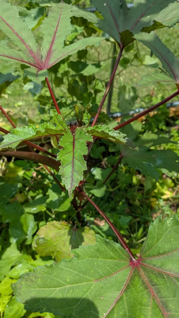 12 Beautiful Garden Trends 2026 You Need to Try