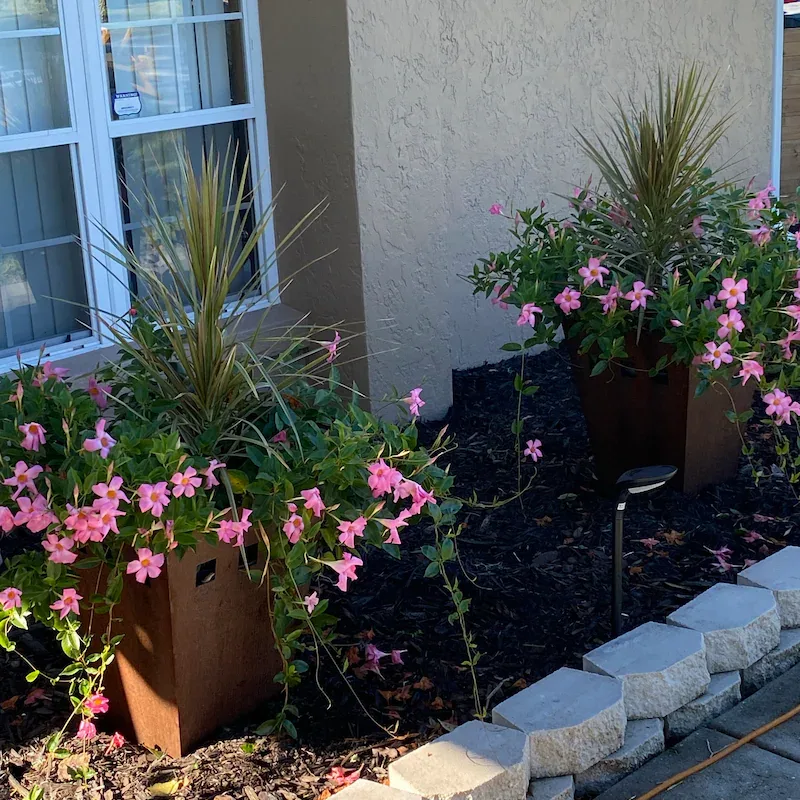 12 Beautiful Garden Trends 2026 You Need to Try