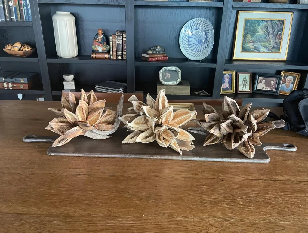 Natural Dried Star Pods Decor Ideas