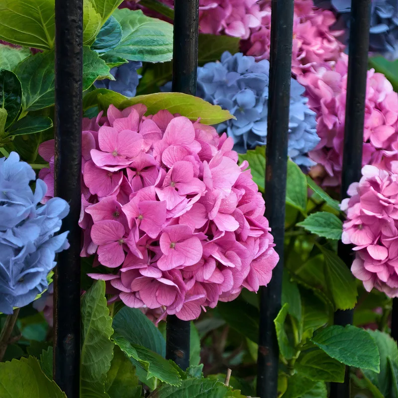 12 Beautiful Garden Trends 2026 You Need to Try