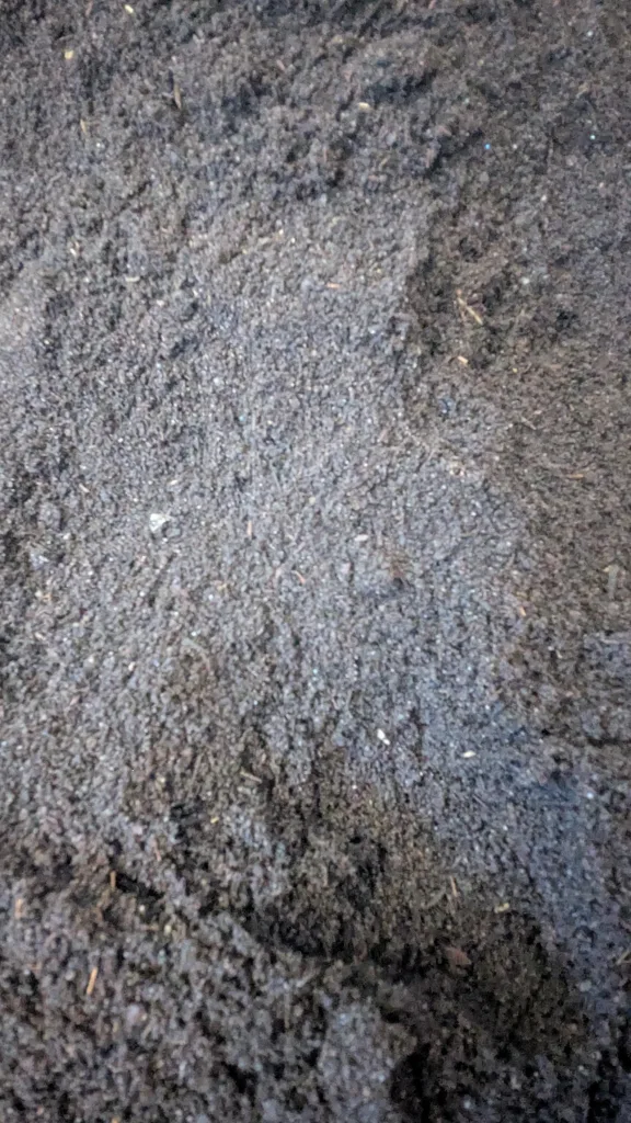 12 Beautiful Garden Trends 2026 You Need to Try