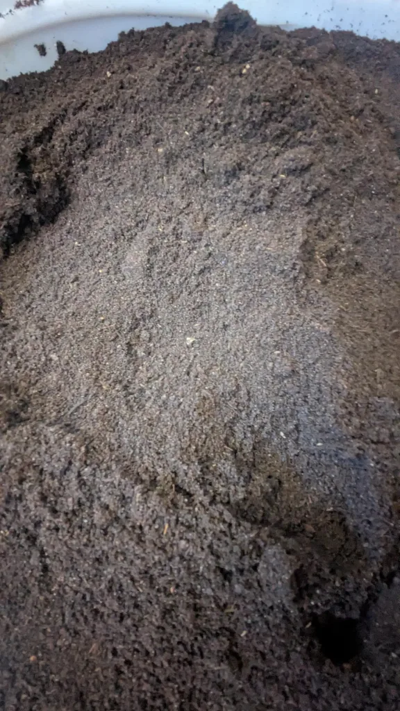 12 Beautiful Garden Trends 2026 You Need to Try