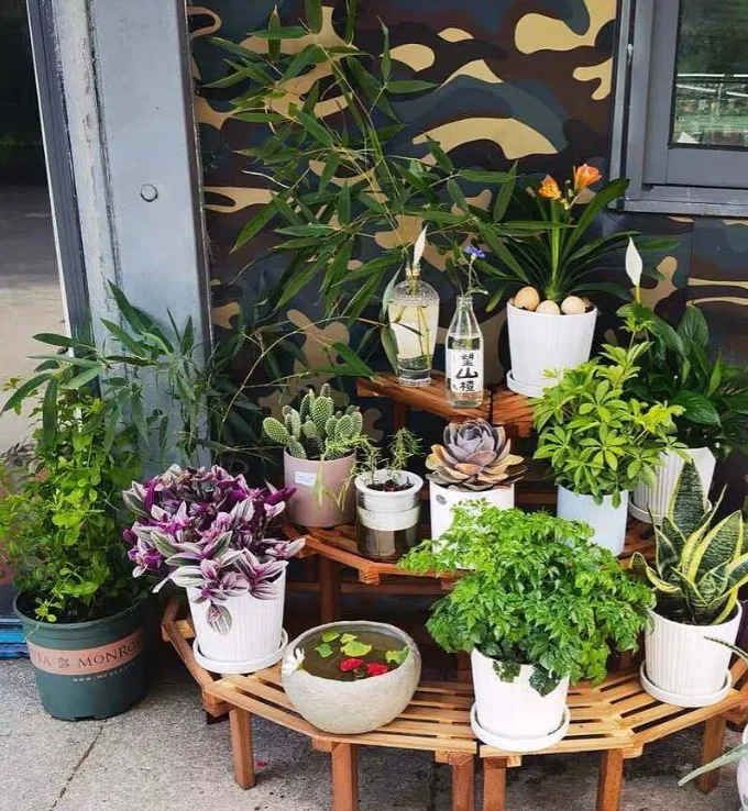 12 Beautiful Garden Trends 2026 You Need to Try