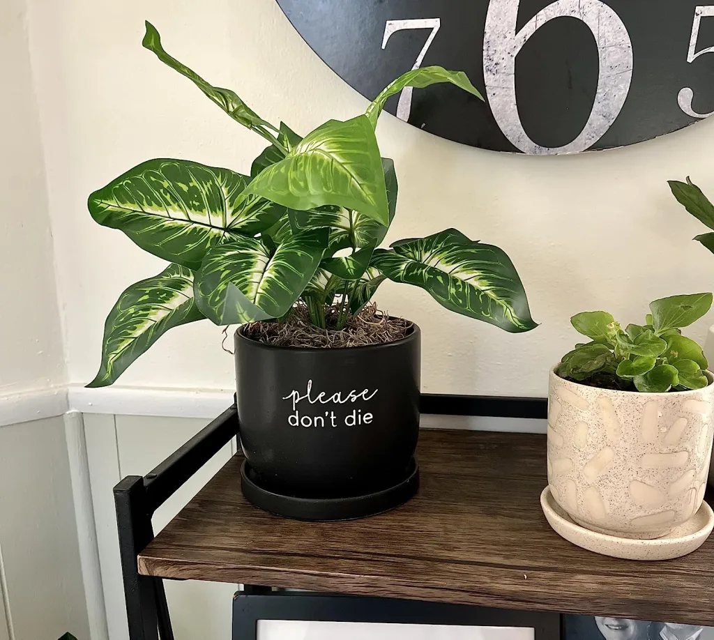 Decorative Artificial Plant Ideas For Rental Homes - How to Make a Rental Feel Like Home
